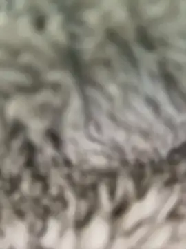 Hannagarces online show from 02-26-26, 11:21