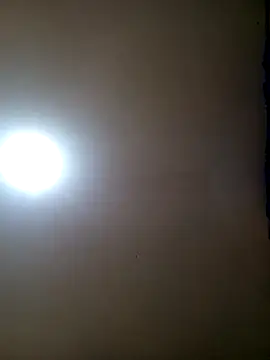 TrainedFinder5 online show from 11-11-25, 11:53