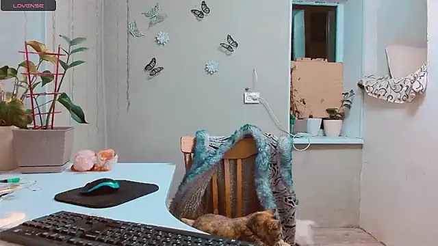 Snapshot of RosaJil chatting on 01-15-25, 07:44 RosaJil online show from 01-15-25, 07:44