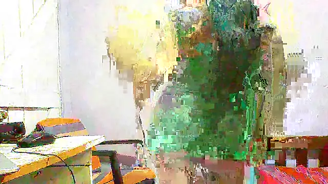 Snapshot of sachi933 chatting on 12-29-24, 03:35 sachi933 online show from 12-29-24, 03:35