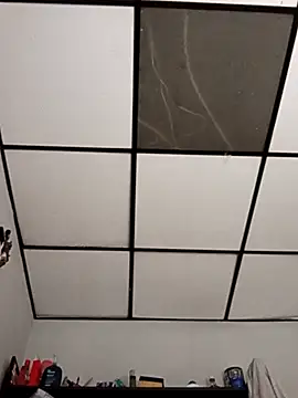 stefanie010 online show from 03-01-26, 08:20