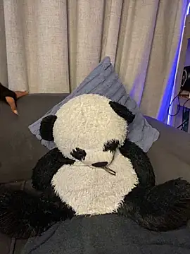 YellowHoneyDip online show from 02-19-26, 05:26