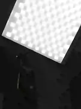 DenisHailey online show from 04-03-26, 07:42