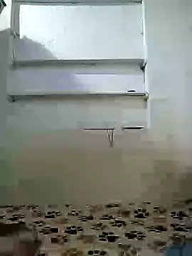 Snapshot of Cameron_puppy chatting on 04-19-26, 11:22 Cameron puppy online show from 04-19-26, 11:22
