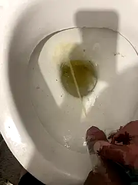 Snapshot of vanho29 chatting on 10-20-25, 12:02 vanho29 online show from 10-20-25, 12:02