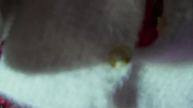 Snapshot of BOOLOCHKAA chatting on 12-30-24, 02:51 BOOLOCHKAA online show from 12-30-24, 02:51