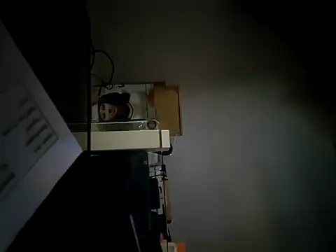 StiveMartin online show from 11-17-25, 02:26