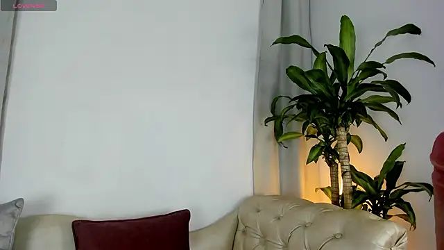 Jentokio online show from 02-11-26, 10:53