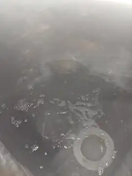 bella8769 online show from 02-21-26, 06:26