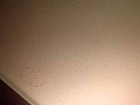 Treemandude online show from 11-10-25, 11:43