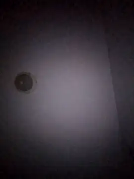 Treemandude online show from 01-15-26, 11:02