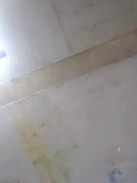 Manolete007x online show from 02-11-26, 11:26