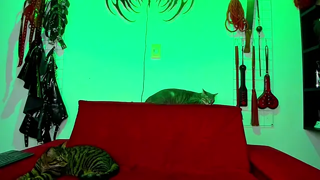 irregular fetish  online show from 02-26-26, 07:47