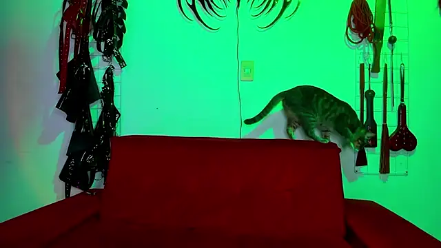 irregular fetish  online show from 02-19-26, 07:00