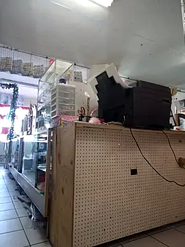 Snapshot of Mia_Novikov chatting on 02-24-26, 10:21 Mia Novikov online show from 02-24-26, 10:21