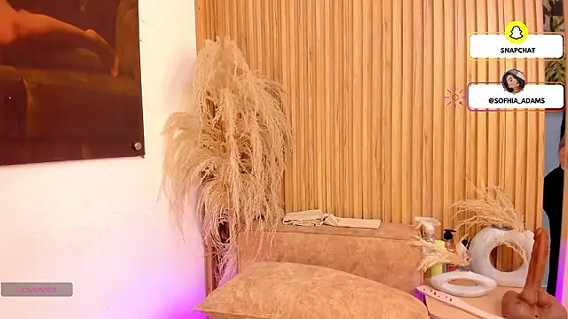 sofhiaa adaams online show from 02-25-26, 10:31