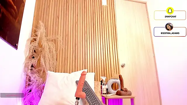 sofhiaa adaams online show from 03-01-26, 04:40