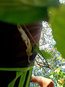 JrCXXIV online show from 01-08-26, 11:11