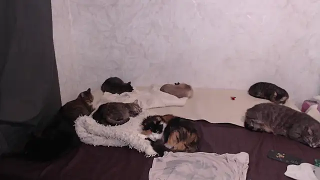 Olivia Winston online show from 01-13-26, 04:22