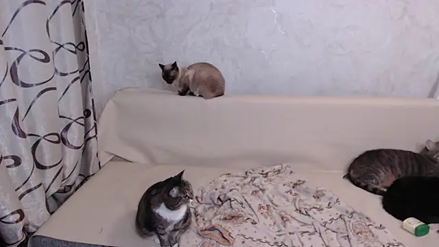 Olivia Winston online show from 10-27-25, 10:54