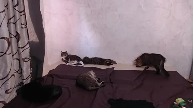 Olivia Winston online show from 03-28-26, 01:45