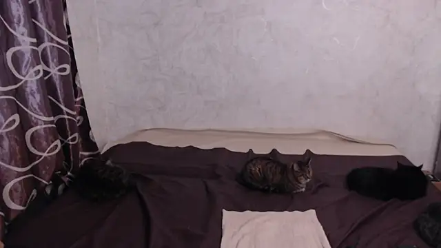 Olivia Winston online show from 04-10-26, 02:40