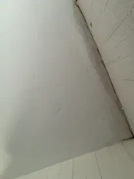 Snapshot of elninoblacko chatting on 02-08-26, 03:10 elninoblacko online show from 02-08-26, 03:10