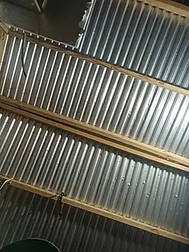 Snapshot of Babyboyy803 chatting on 02-27-26, 10:48 Babyboyy803 online show from 02-27-26, 10:48