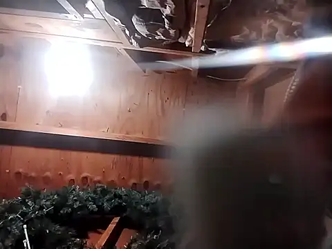 Babyboyy803 online show from 11-09-25, 09:24