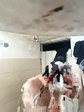 walwan85 online show from 11-12-25, 03:32