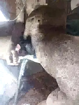 Goodman4usexy online show from 03-10-26, 11:53