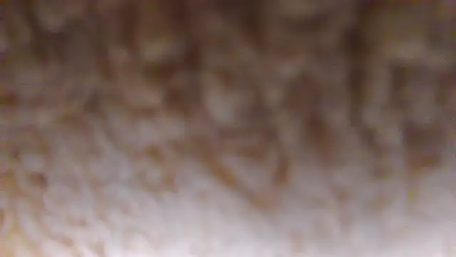 Burberrry  online show from 06-22-26, 07:22
