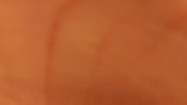 catalina  23 online show from 03-17-25, 07:48