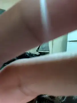 khema99 online show from 01-12-26, 10:03