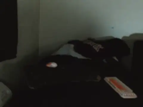 EXOTICLEXXXI online show from 09-29-25, 01:23