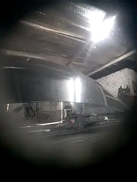 hecwil8 online show from 12-01-25, 11:44