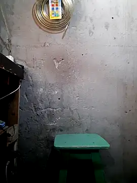 hecwil8 online show from 12-17-25, 03:17