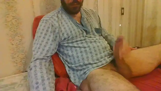 tozebrito hd online show from 10-29-25, 07:51