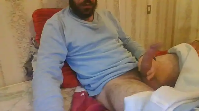 tozebrito hd online show from 11-16-25, 10:42