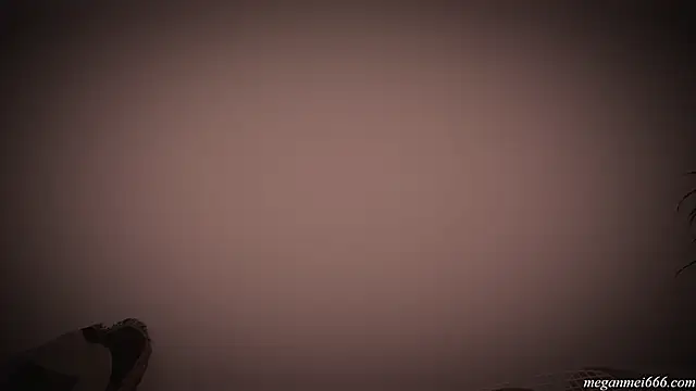 meganmei666 online show from 12-20-25, 02:58