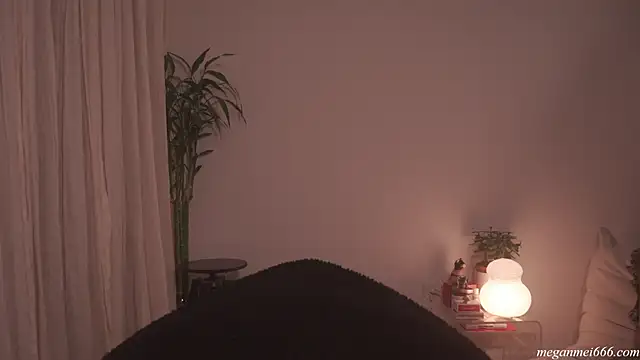 meganmei666 online show from 04-21-26, 02:03