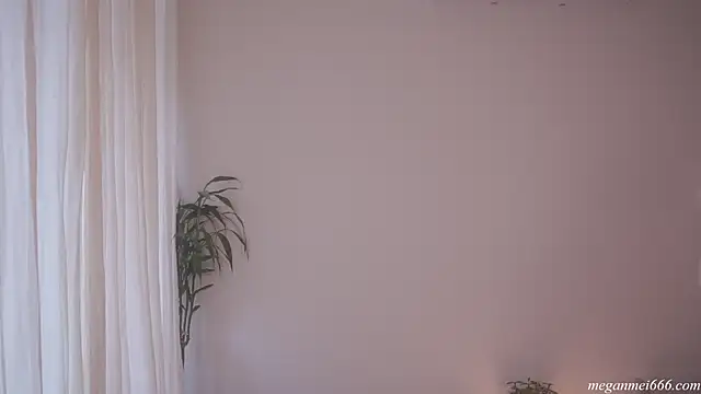 meganmei666 online show from 05-09-26, 06:55
