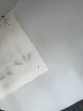 AnaRuiz online show from 11-22-25, 03:22