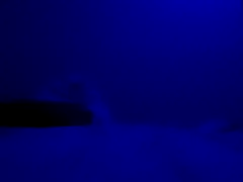 Snapshot of Blkstylion chatting on 11-27-25, 08:20 Blkstylion online show from 11-27-25, 08:20