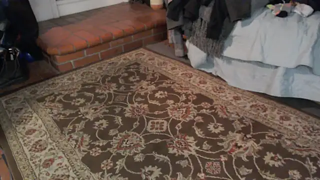 Dark Asteroid online show from 03-05-26, 12:24