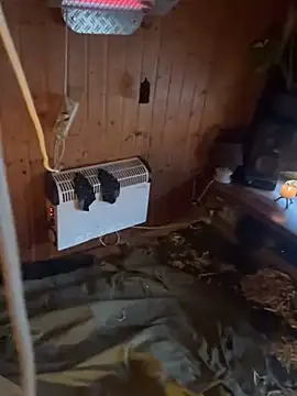 SexToyOnely online show from 02-06-26, 07:37