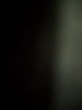 FantasticWonders9 online show from 04-01-26, 12:57