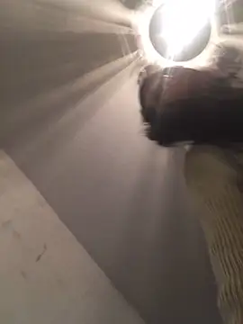 ChantalXOrchid online show from 12-21-25, 05:58