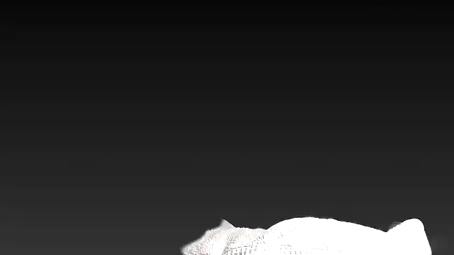 juanpalmox online show from 11-25-25, 08:31