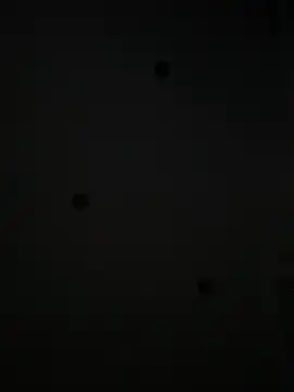 Maxthekid online show from 01-21-25, 10:19